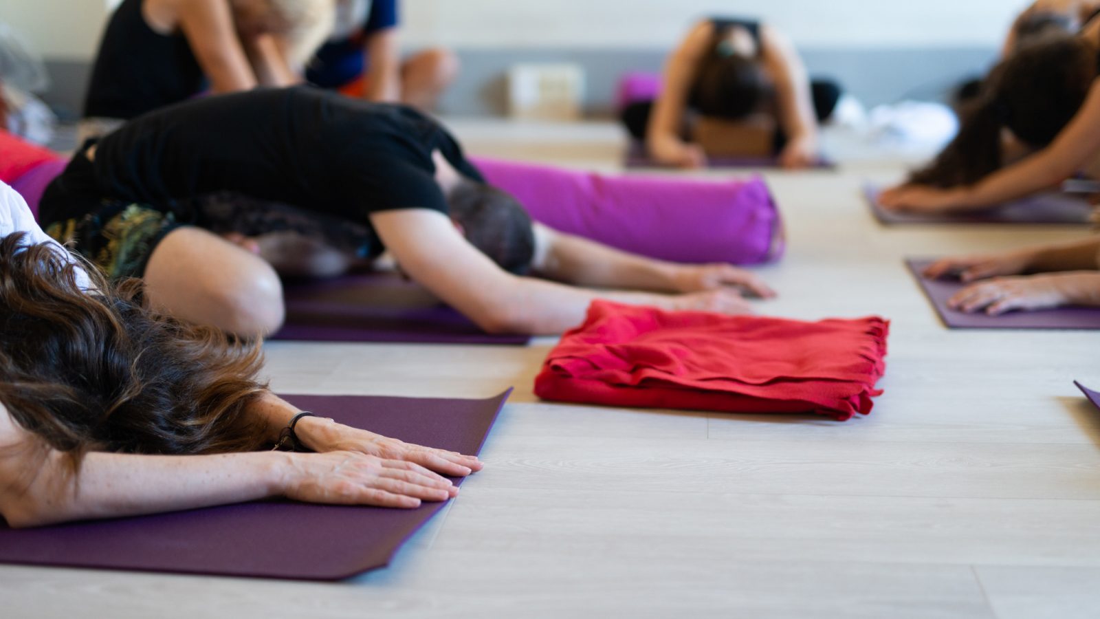 ginnastica zilgrei fisioterapia ranoia
