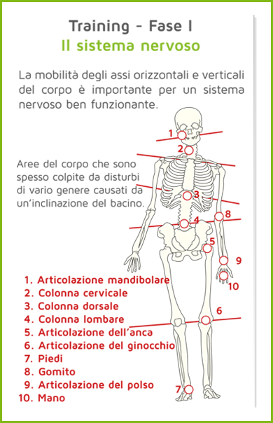 metodo theralogy Training cellulare reattivo