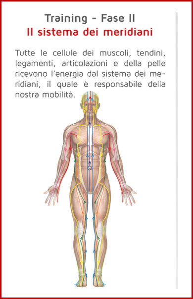 metodo theralogy Training cellulare reattivo