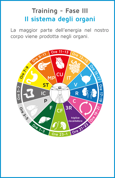 metodo theralogy Training cellulare reattivo