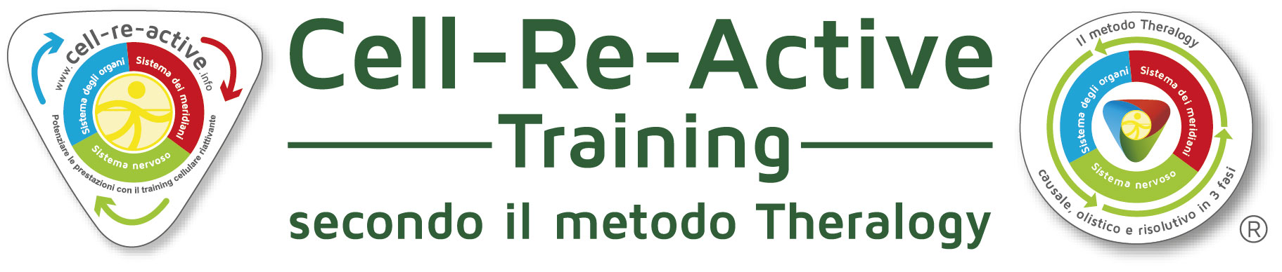 Cell-Re-Active-Training